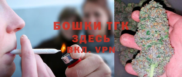 эйфоретик Дмитриев