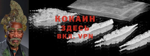 прущие крисы Дмитров