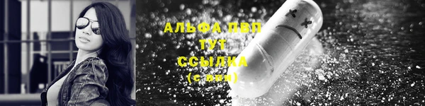 прущие грибы Дмитровск