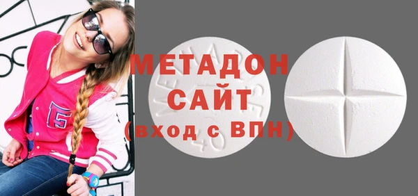 прущие грибы Дмитровск