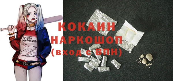 прущие грибы Дмитровск
