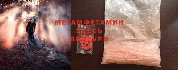 прущие грибы Дмитровск